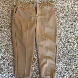 Torrid women’s plus dress pants